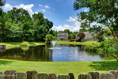 1528 Stones Edge Loop, Wilmington, NC 28405 - Photo 31