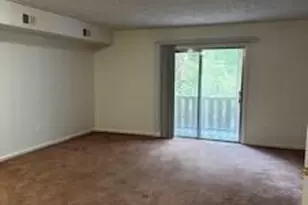 365 W Illinois Ave, Southern Pines, NC 28387 - Photo 7