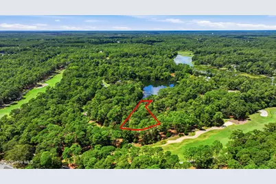 739 Loblolly Drive SW, Shallotte, NC 28470 - Photo 9
