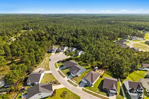 1611 E New Carraway Pl SE, Bolivia, NC 28422 - Photo 53