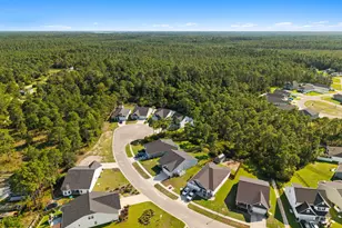 1611 E New Carraway Pl SE, Bolivia, NC 28422 - Photo 47