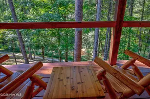14551 Joe Brown Hwy, Murphy, NC 28906 - Photo 3