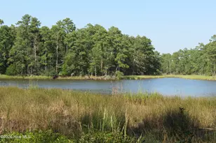 5633 Styron Dr, Oriental, NC 28571 - Photo 87