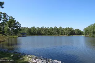5633 Styron Dr, Oriental, NC 28571 - Photo 79