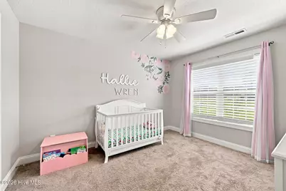 124 Village Creek Drive, Maysville, NC 28555 - Photo 19