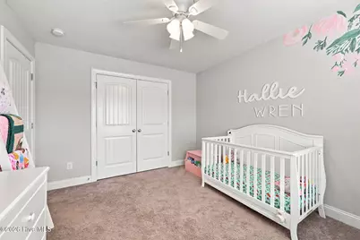 124 Village Creek Drive, Maysville, NC 28555 - Photo 17