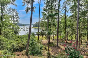 315 Kingfisher Point, McCormick, SC 29835 - Photo 69
