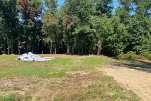 5230 Roseheath Ct, Bailey, NC 27807 - Photo 3