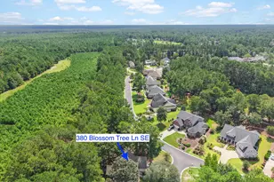 380 Blossom Tree Ln SE, Bolivia, NC 28422 - Photo 49