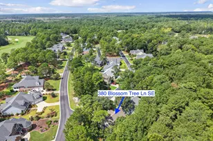 380 Blossom Tree Ln SE, Bolivia, NC 28422 - Photo 47