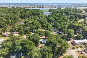 1649 Woodview Cir SW, Ocean Isle Beach, NC 28469 - Photo 37