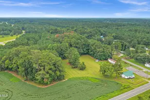 3537 S Nc 11 Hwy, Wallace, NC 28466 - Photo 41