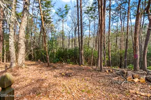 89 Kanati Trail, Murphy, NC 28906 - Photo 45