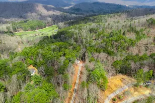 89 Kanati Trail, Murphy, NC 28906 - Photo 63