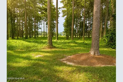 159 Frying Pan, Oriental, NC 28571 - Photo 3
