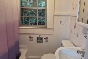 321 McDonald Ave, Hamlet, NC 28345 - Photo 25