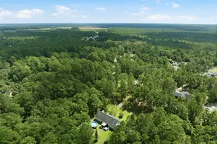 217 E Bear Branch Dr, Currie, NC 28435 - Photo 71