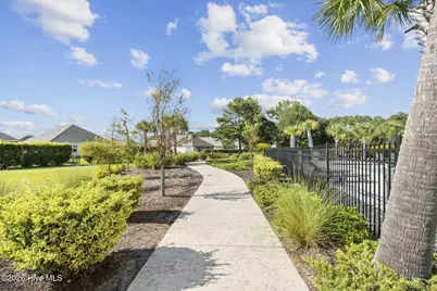 455 Cornflower Street, Calabash, NC 28467 - Photo 43
