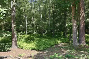 117 Woodridge Dr, Morehead City, NC 28557 - Photo 39