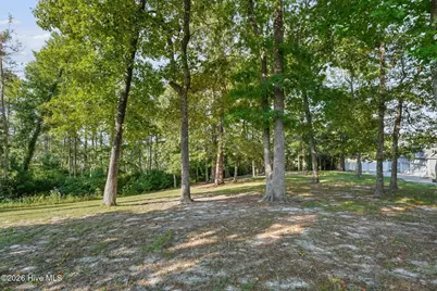 209 Creek View Circle, Sneads Ferry, NC 28460 - Photo 5