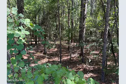 3-17 Bay Circle Circle, McCormick, SC 29835 - Photo 3