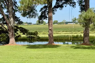 27668 Carolina 125, Scotland Neck, NC 27874 - Photo 91