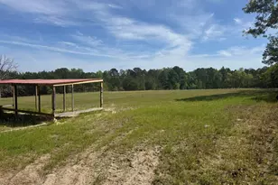 490 Springhill Church Rd, Hamlet, NC 28345 - Photo 23