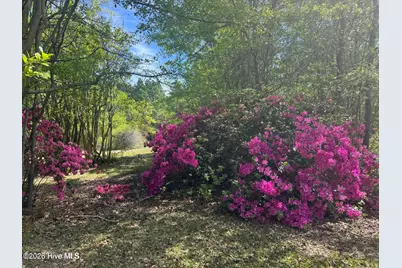 490 Springhill Church Road, Hamlet, NC 28345 - Photo 29