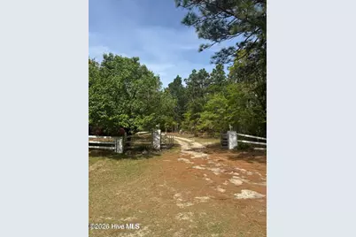 490 Springhill Church Road, Hamlet, NC 28345 - Photo 31