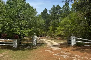 490 Springhill Church Rd, Hamlet, NC 28345 - Photo 31