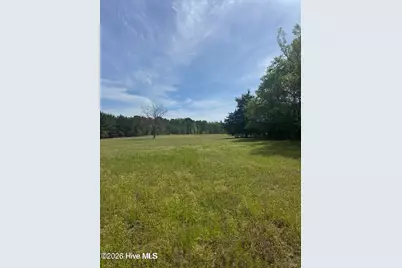 490 Springhill Church Road, Hamlet, NC 28345 - Photo 35