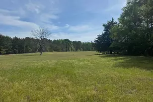 490 Springhill Church Rd, Hamlet, NC 28345 - Photo 35