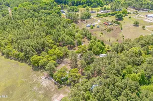 490 Springhill Church Rd, Hamlet, NC 28345 - Photo 63
