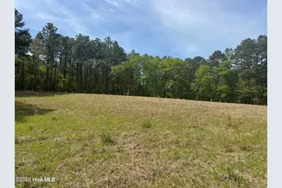 490 Springhill Church Road, Hamlet, NC 28345 - Photo 39