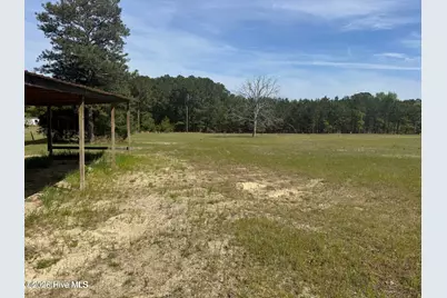 490 Springhill Church Road, Hamlet, NC 28345 - Photo 51