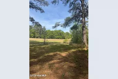 490 Springhill Church Road, Hamlet, NC 28345 - Photo 47