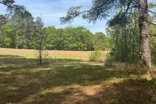 490 Springhill Church Rd, Hamlet, NC 28345 - Photo 47