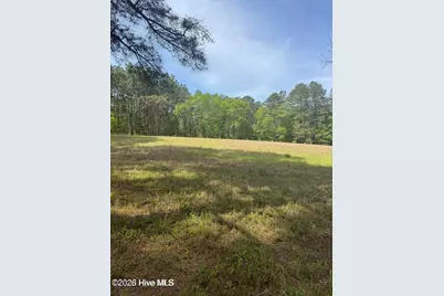 490 Springhill Church Road, Hamlet, NC 28345 - Photo 37