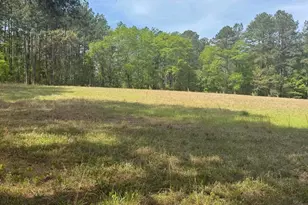 490 Springhill Church Rd, Hamlet, NC 28345 - Photo 37