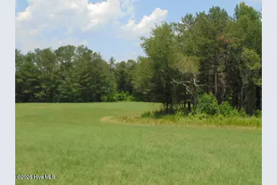 490 Springhill Church Road, Hamlet, NC 28345 - Photo 27