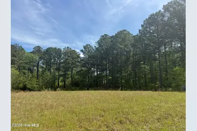 490 Springhill Church Road, Hamlet, NC 28345 - Photo 41