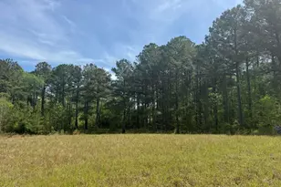 490 Springhill Church Rd, Hamlet, NC 28345 - Photo 41