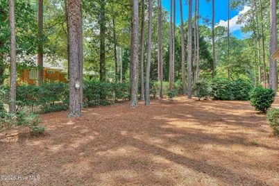 195 Long Shadow Drive, Aiken, SC 29803 - Photo 11