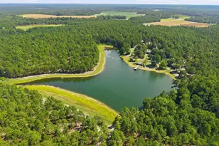 5624 Big Oak Church Rd, Eagle Springs, NC 27242 - Photo 9