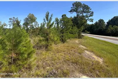 Hwy 139 and Hwy 28 Old Plum Branch Rd S, Plum Branch, SC 29845 - Photo 3