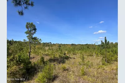 Hwy 139 and Hwy 28 Old Plum Branch Rd S, Plum Branch, SC 29845 - Photo 1
