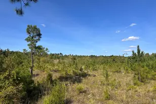 Hwy 139 and Hwy 28 Old Plum Branch Rd S, Plum Branch, SC 29845 - Photo 1