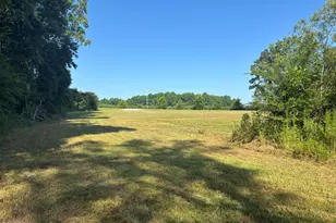 4676 Pleasant Plains Church Rd, Whiteville, NC 28472 - Photo 1