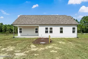 165 Huckleberry Bush Ln, Princeton, NC 27569 - Photo 31