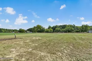 165 Huckleberry Bush Ln, Princeton, NC 27569 - Photo 27